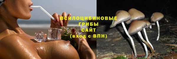 spice Баксан