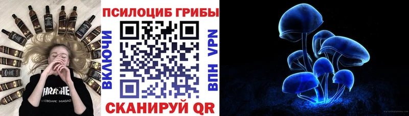 блэк спрут ТОР Белёв Псилоцибиновые грибы ЛСД